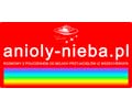 Logo webu anioly-nieba.pl